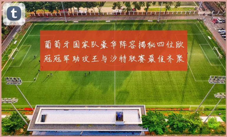 葡萄牙国家队豪华阵容揭秘四位欧冠冠军助攻王与沙特联赛最佳齐聚一堂